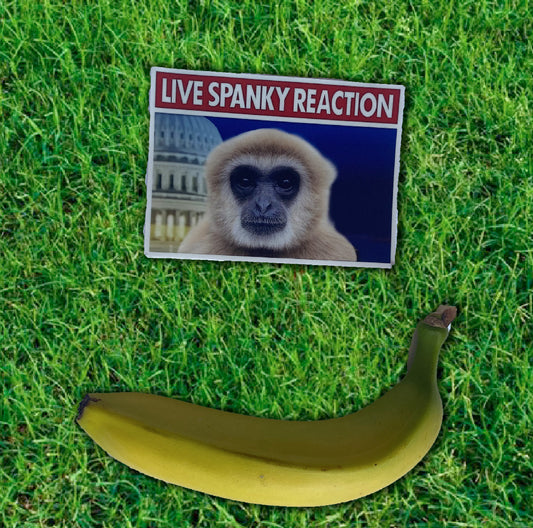 Spanky Live Reaction Sticker