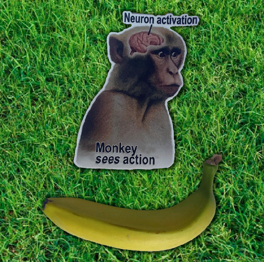 Monkey Neuron Activation Sticker