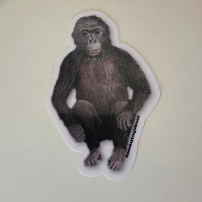 Naturalist Sticker Pack