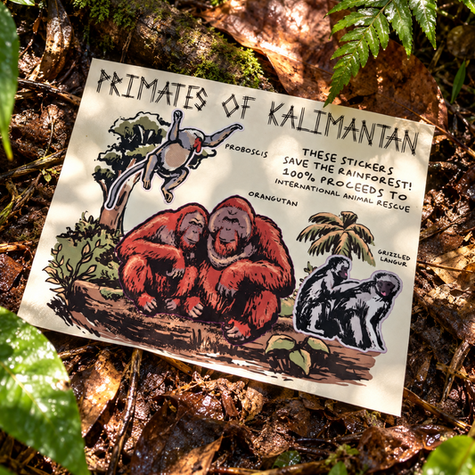 Primates of Kalimantan Charity Sticker Sheet