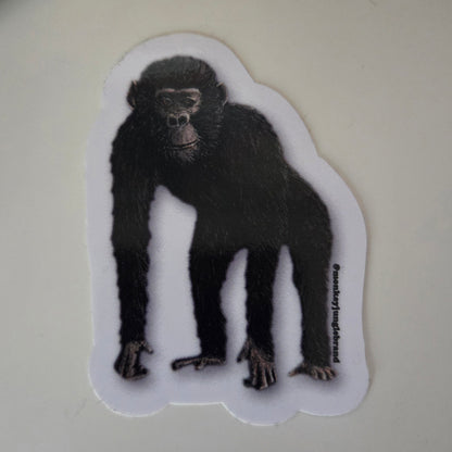 Naturalist Sticker Pack