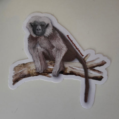 Naturalist Sticker Pack