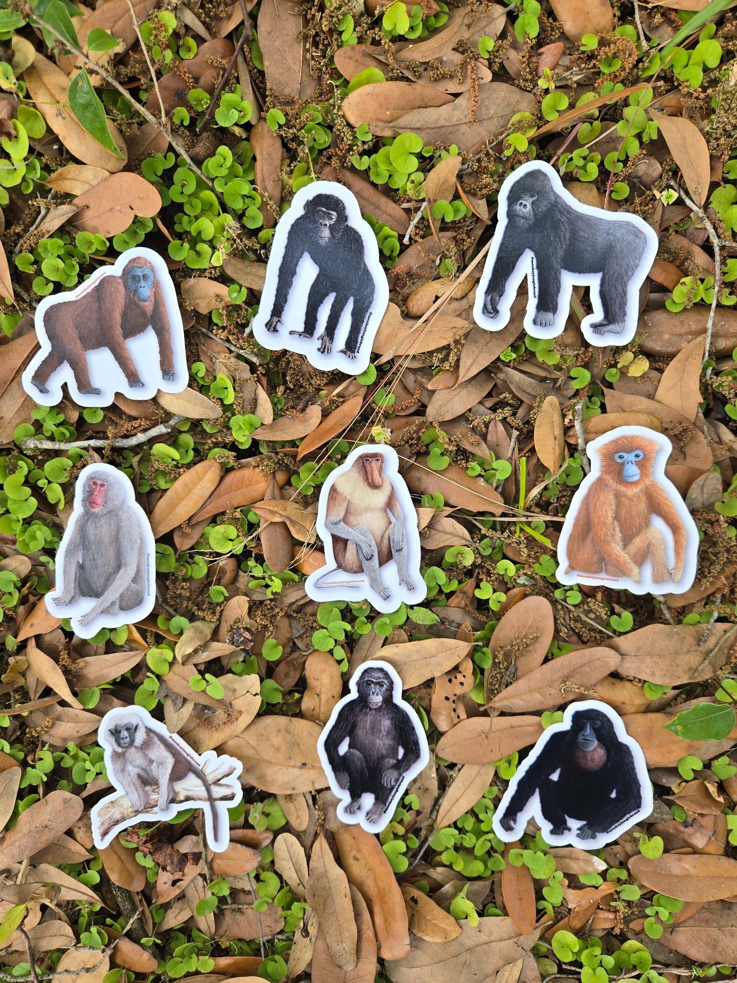 Naturalist Sticker Pack