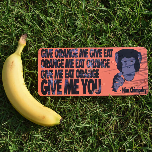  7 inch wide bumper sticker with monkey graphic and text 'Give orange me give eat orange me eat orange give me eat orange give me you' by Nim Chimpsky on grass next to a banana for size reference. 