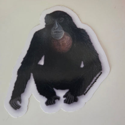 Naturalist Sticker Pack