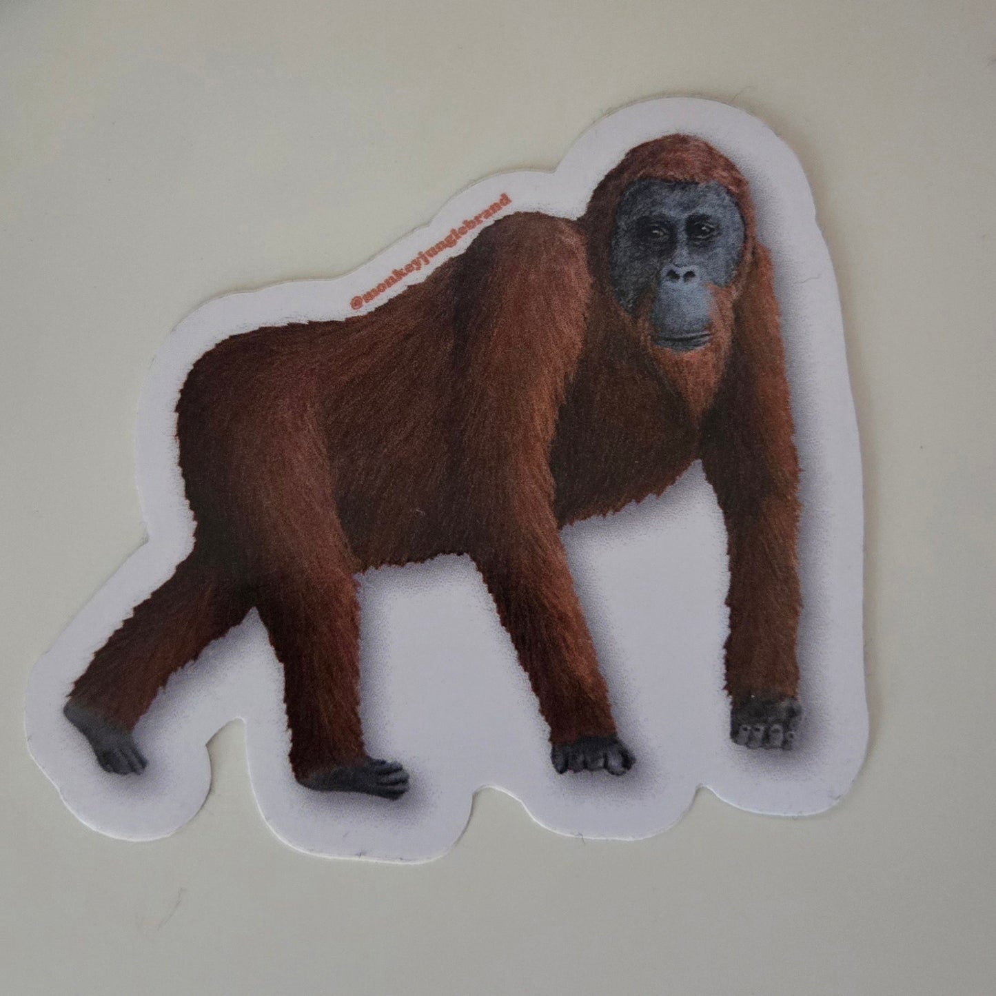 Naturalist Sticker Pack