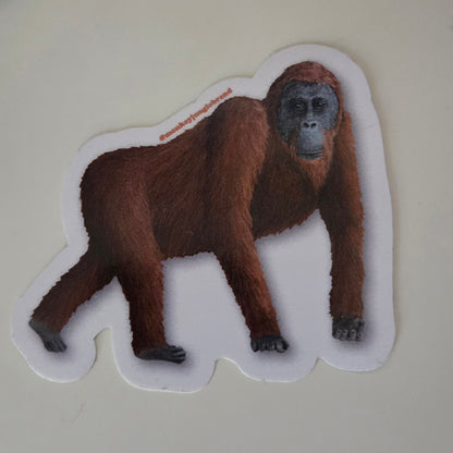 Naturalist Sticker Pack