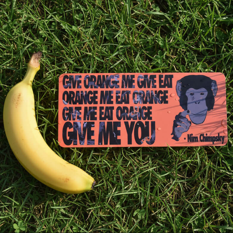 Nim Chimpsky Bumper Sticker on grass with a banana, showcasing clever language humor and monkey apparels theme.