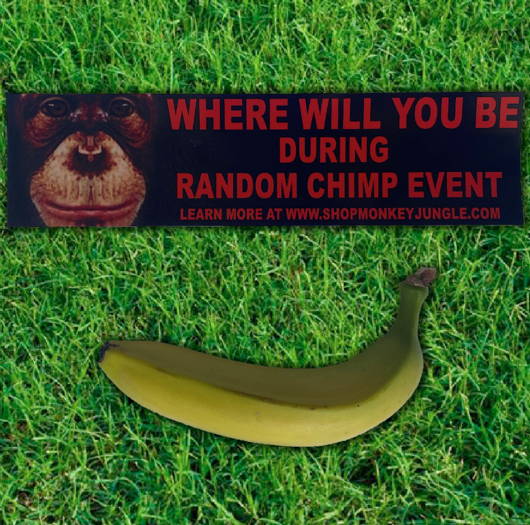 Random Chimp Event Bumper Sticker – Monkey Jungle Brand